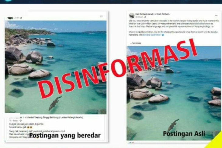Heboh Foto Buaya di Pantai Tanjung Tinggi Belitung, Diskominfo Tegaskan Itu Disinformasi kilasbabel.com